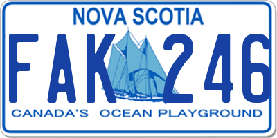 NS license plate FAK246