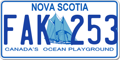NS license plate FAK253