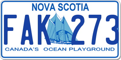 NS license plate FAK273