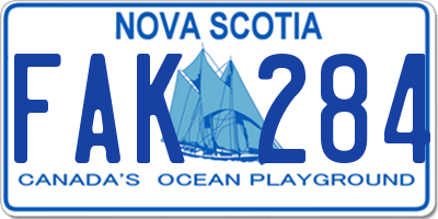 NS license plate FAK284