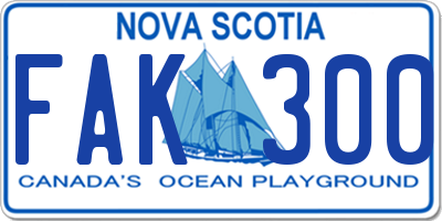 NS license plate FAK300