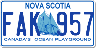 NS license plate FAK957