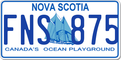 NS license plate FNS875