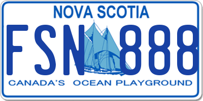 NS license plate FSN888