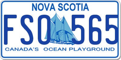 NS license plate FSO565