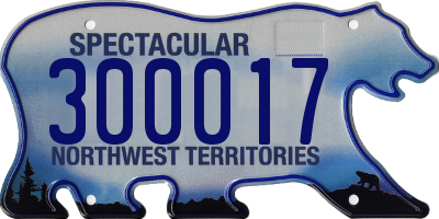 NT license plate 300017