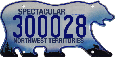 NT license plate 300028