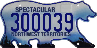 NT license plate 300039