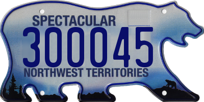 NT license plate 300045