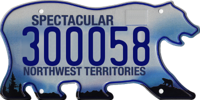 NT license plate 300058