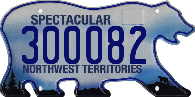 NT license plate 300082