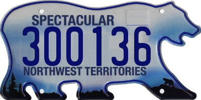 NT license plate 300136