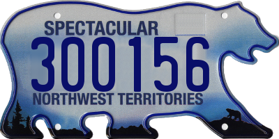 NT license plate 300156