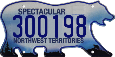 NT license plate 300198