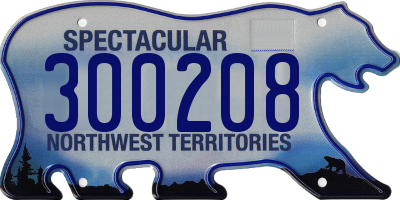 NT license plate 300208