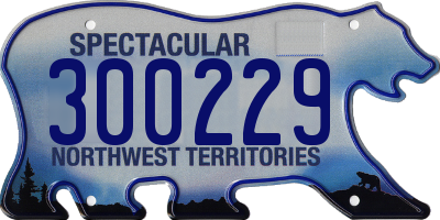 NT license plate 300229