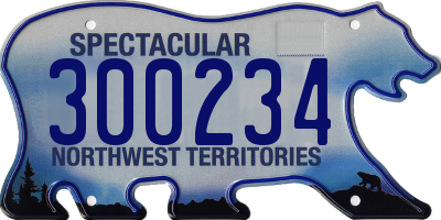 NT license plate 300234