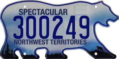 NT license plate 300249