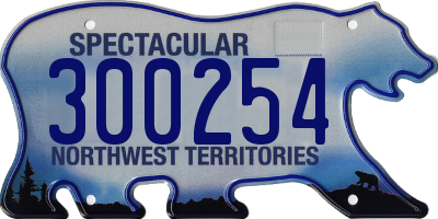 NT license plate 300254