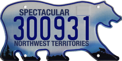 NT license plate 300931