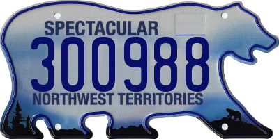 NT license plate 300988