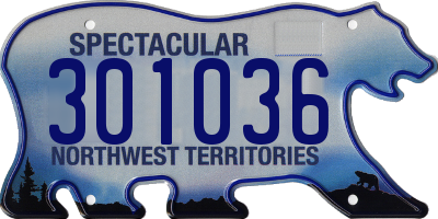 NT license plate 301036