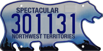 NT license plate 301131