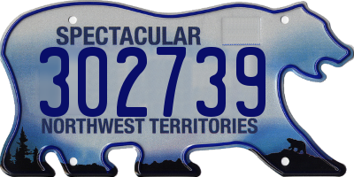 NT license plate 302739