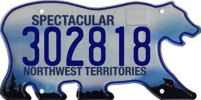 NT license plate 302818