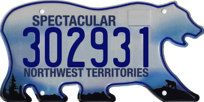 NT license plate 302931