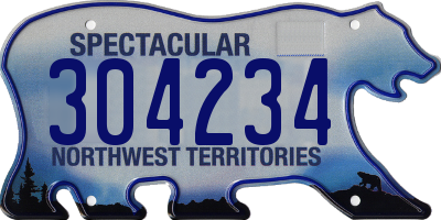 NT license plate 304234