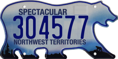 NT license plate 304577