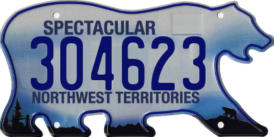 NT license plate 304623