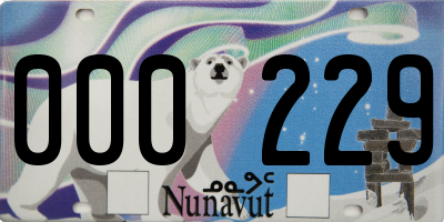 NU license plate 000229