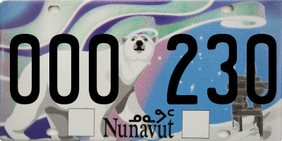 NU license plate 000230