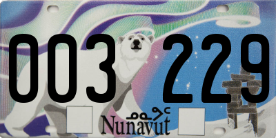 NU license plate 003229