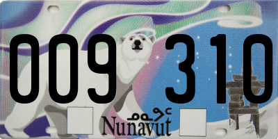 NU license plate 009310