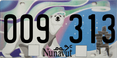 NU license plate 009313