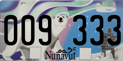 NU license plate 009333