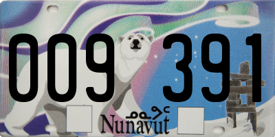 NU license plate 009391