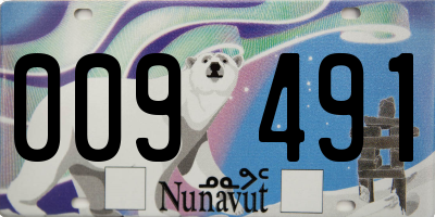 NU license plate 009491