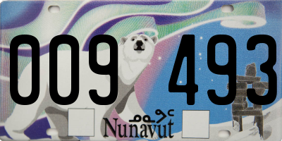 NU license plate 009493