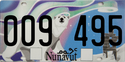 NU license plate 009495