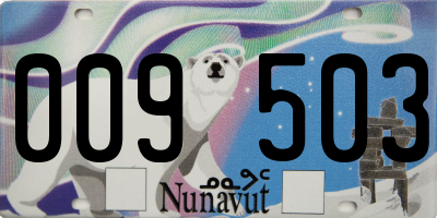 NU license plate 009503