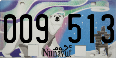 NU license plate 009513