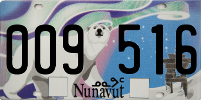 NU license plate 009516