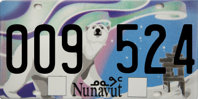 NU license plate 009524