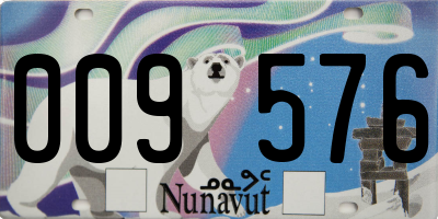 NU license plate 009576