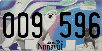 NU license plate 009596