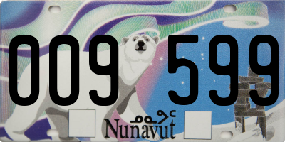 NU license plate 009599